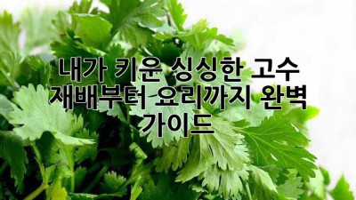 내가 키운 싱싱한 고수: 재배부터 요리까지 완벽 가이드