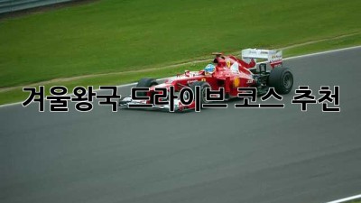겨울왕국 드라이브 코스 추천 ✨