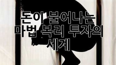 돈이 불어나는 마법: 복리 투자의 세계